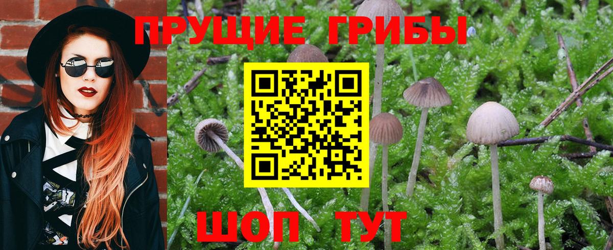 Галлюциногенные грибы Cubensis  Вход с VPN  Новоуральск 