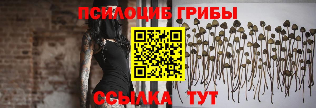 Псилоцибиновые грибы прущие грибы Новоуральск